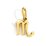 Zodiac Pendant Charm