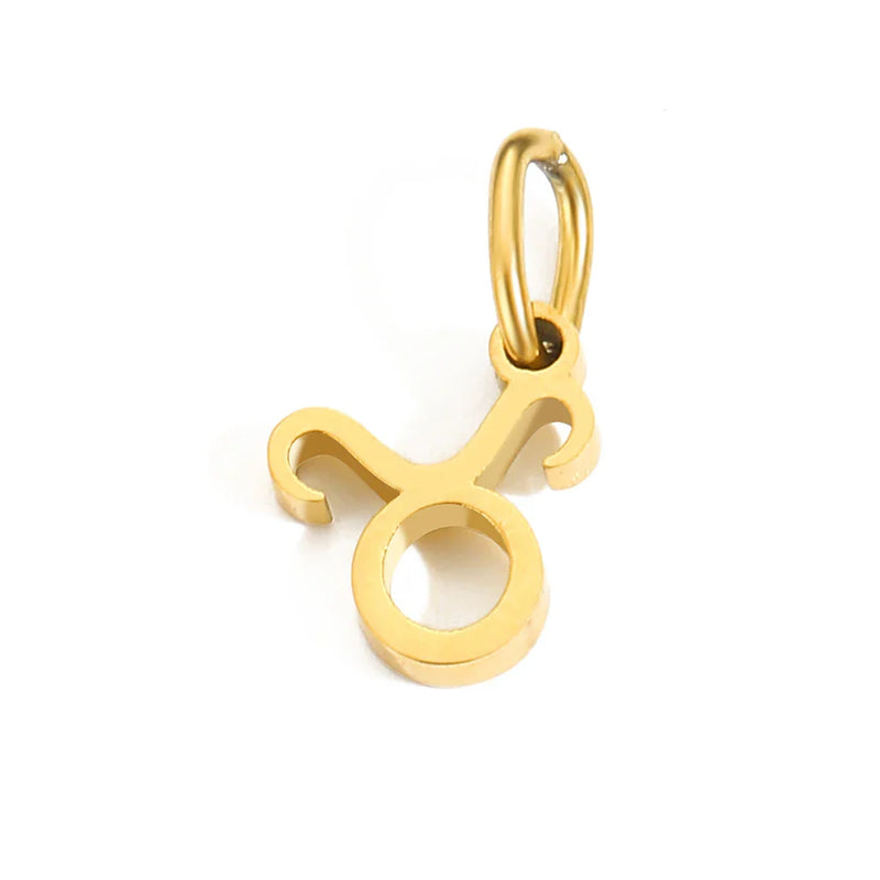 Zodiac Pendant Charm