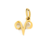 Zodiac Pendant Charm