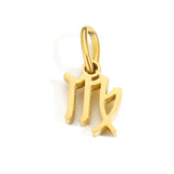Zodiac Pendant Charm